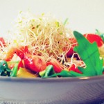Rucola-salade-met-avocado-aarbei-enmozzarella